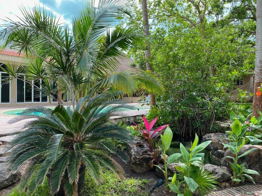 Casa Paamul Villa Playa del Carmen Ngoại thất bức ảnh